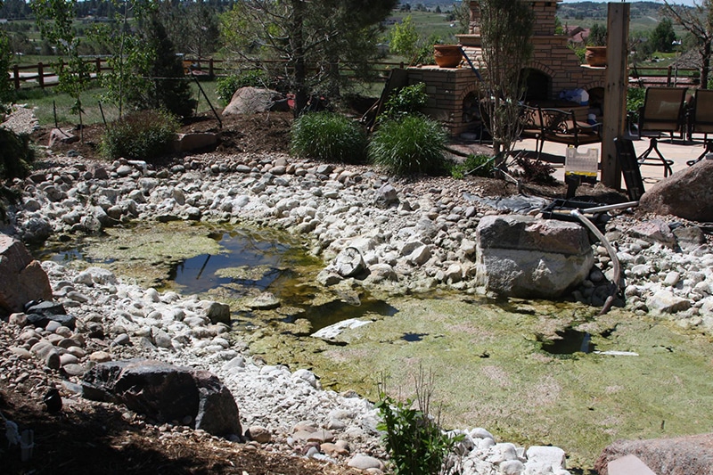 Pond in need of repair and cleaning