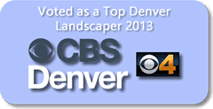 top landscaper Art of the Yard Denver