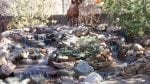 river rock Art of the Yard Denver